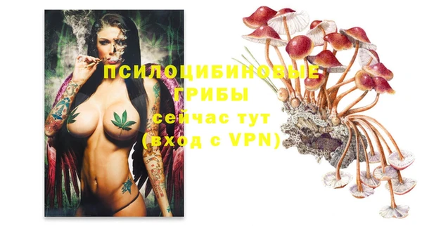 МДМА Беломорск