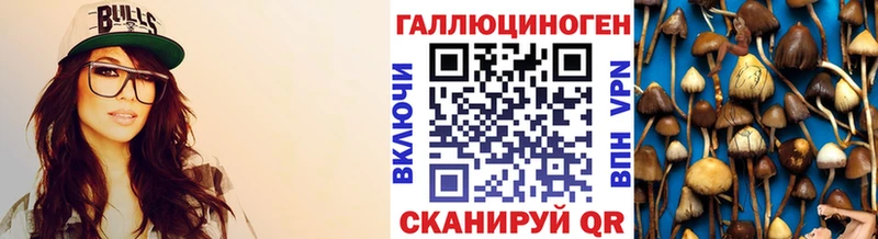 Псилоцибиновые грибы Psilocybine cubensis  купить   Воскресенск 