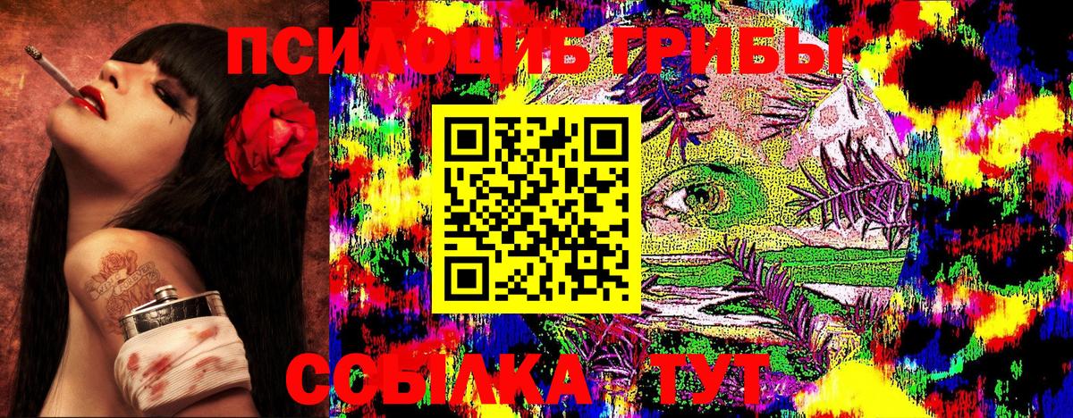 Псилоцибиновые грибы Magic Shrooms  Псилоцибиновые грибы Magic Shrooms  закладка  Воскресенск 