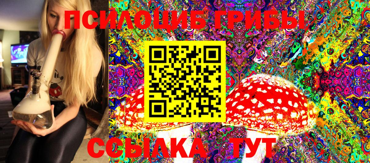 Галлюциногенные грибы Psilocybine cubensis  Галлюциногенные грибы GOLDEN TEACHER  Вход с VPN  Воскресенск 