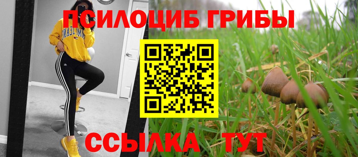 Галлюциногенные грибы Psilocybine cubensis Воскресенск
